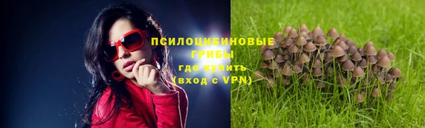 метадон Абинск