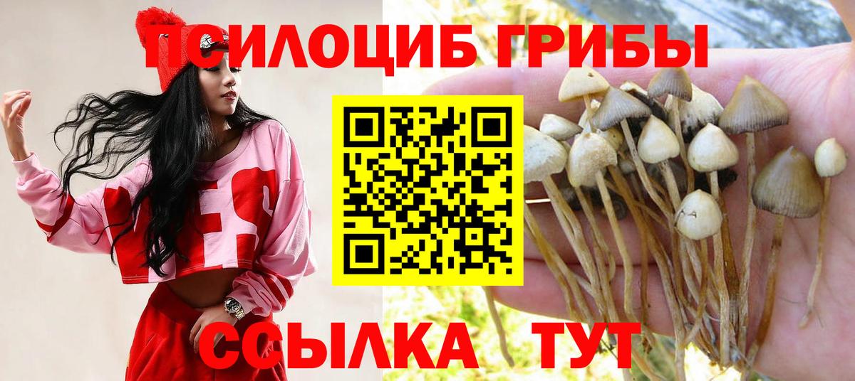 Псилоцибиновые грибы Psilocybine cubensis  Псилоцибиновые грибы MAGIC MUSHROOMS  Стрежевой  Вход с VPN 